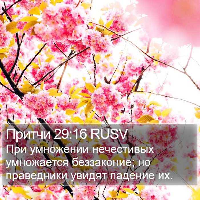 Притчи 29:16 RUSV Bible Study