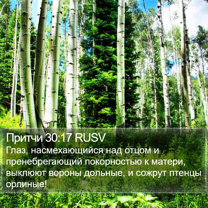 Притчи 30:17 RUSV Bible Study