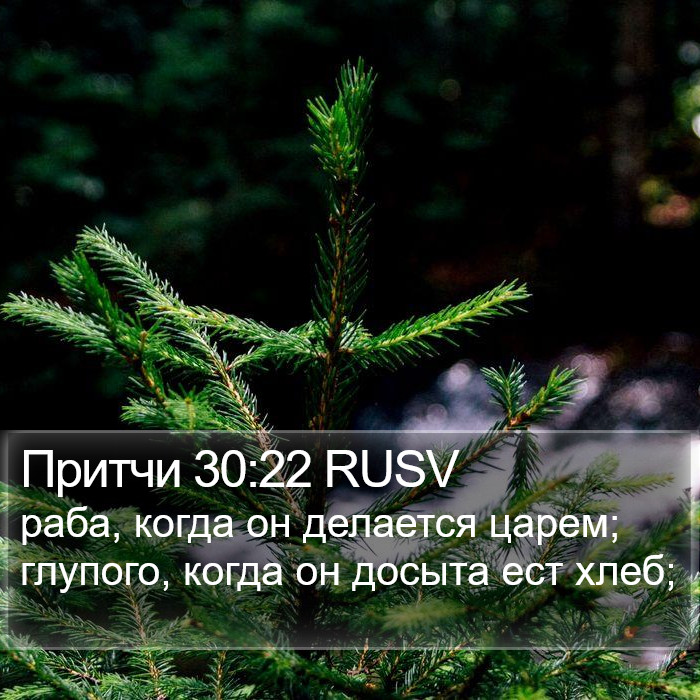 Притчи 30:22 RUSV Bible Study