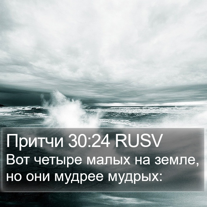 Притчи 30:24 RUSV Bible Study