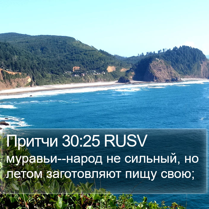 Притчи 30:25 RUSV Bible Study