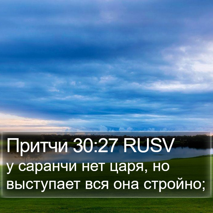 Притчи 30:27 RUSV Bible Study