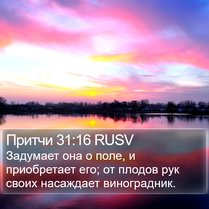 Притчи 31:16 RUSV Bible Study