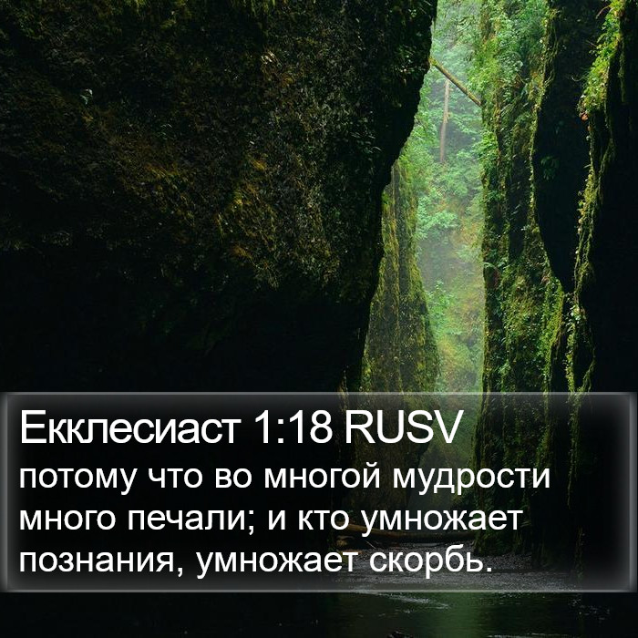 Екклесиаст 1:18 RUSV Bible Study