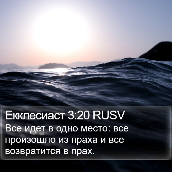 Екклесиаст 3:20 RUSV Bible Study