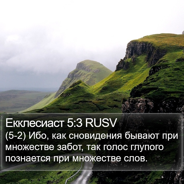 Екклесиаст 5:3 RUSV Bible Study