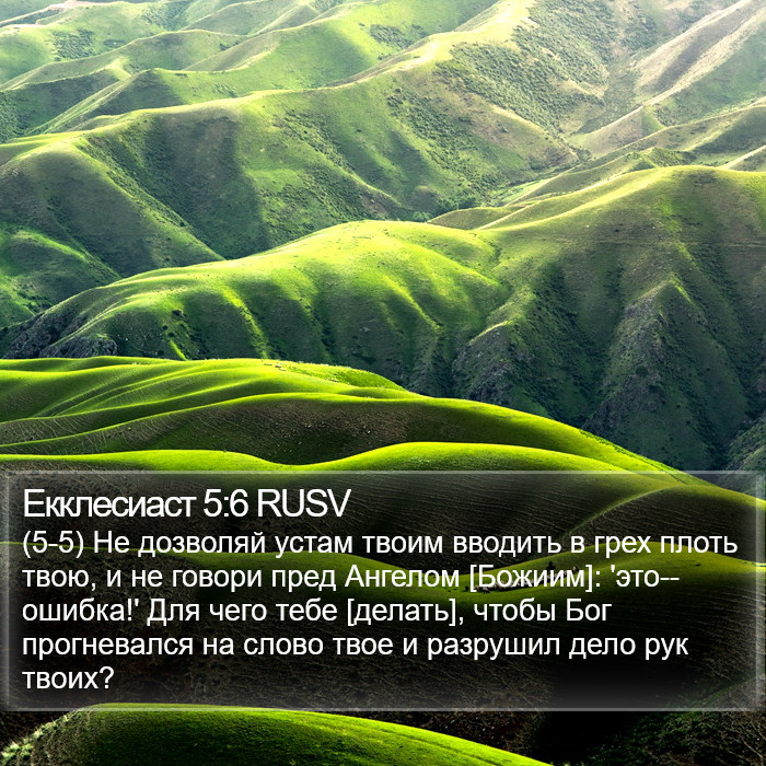 Екклесиаст 5:6 RUSV Bible Study