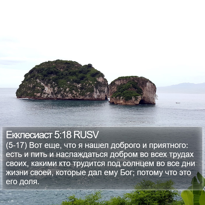 Екклесиаст 5:18 RUSV Bible Study