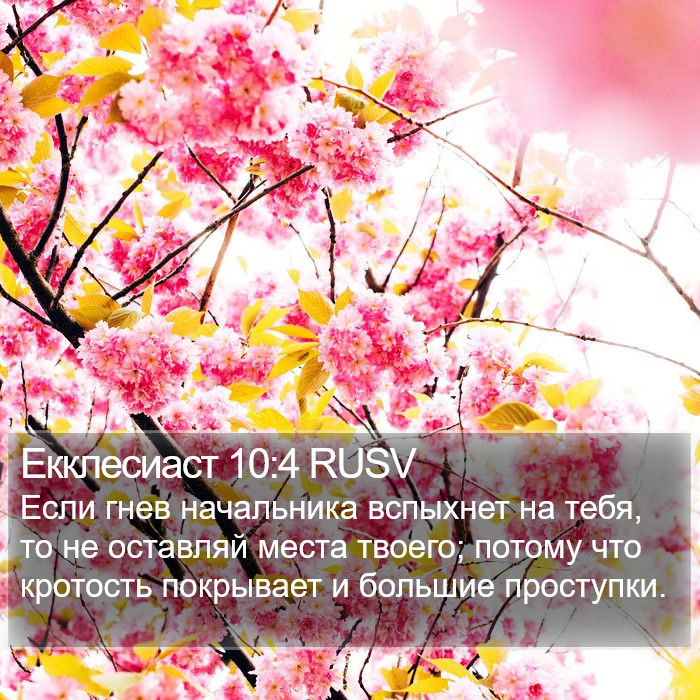 Екклесиаст 10:4 RUSV Bible Study