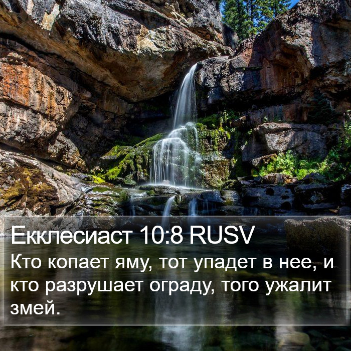 Екклесиаст 10:8 RUSV Bible Study