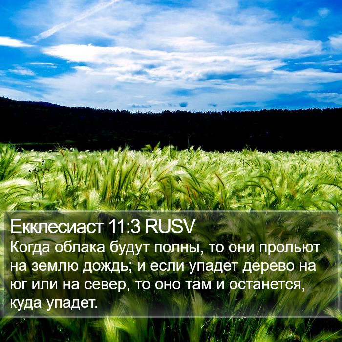 Екклесиаст 11:3 RUSV Bible Study