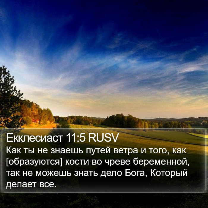 Екклесиаст 11:5 RUSV Bible Study
