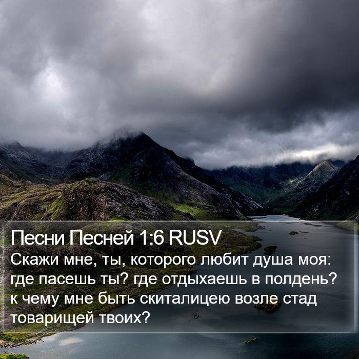 Песни Песней 1:6 RUSV Bible Study