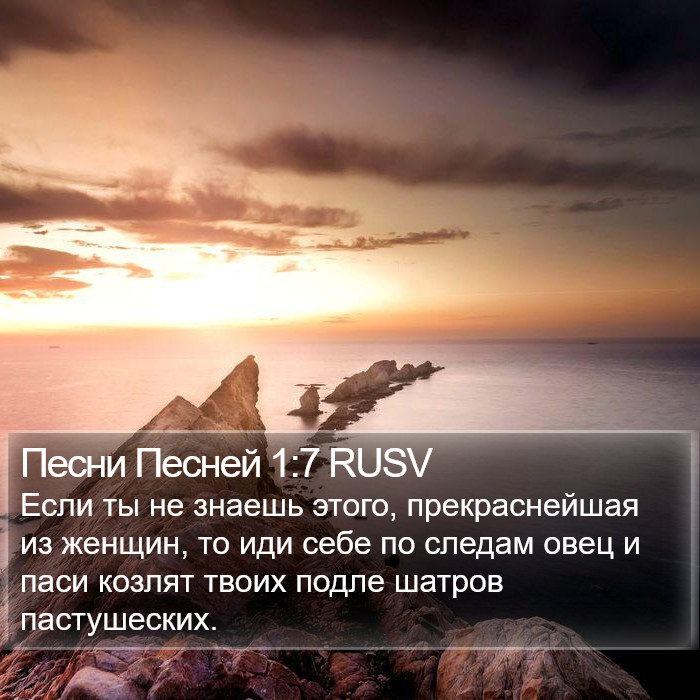 Песни Песней 1:7 RUSV Bible Study