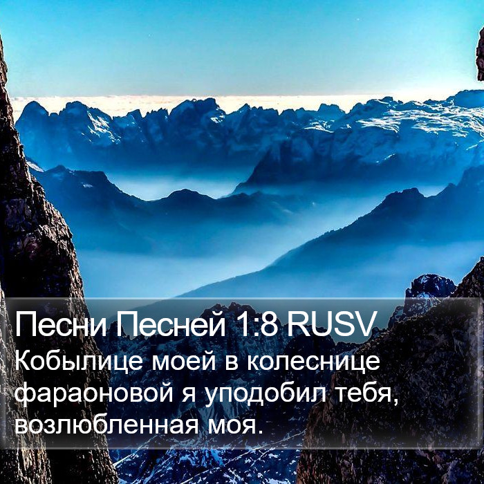 Песни Песней 1:8 RUSV Bible Study