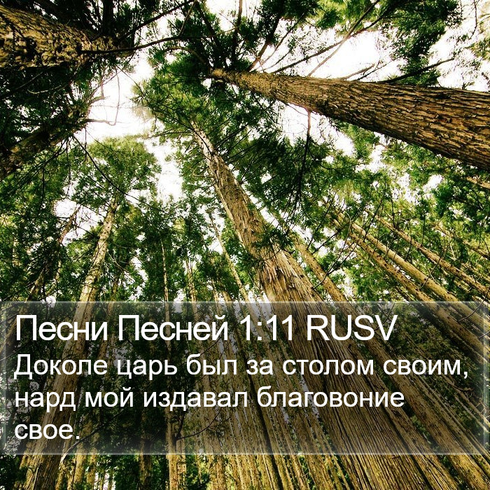 Песни Песней 1:11 RUSV Bible Study