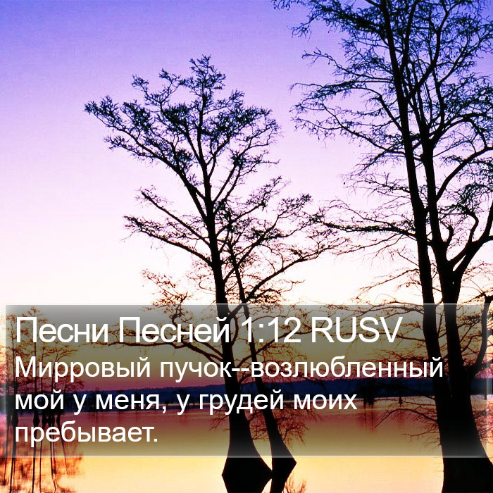 Песни Песней 1:12 RUSV Bible Study