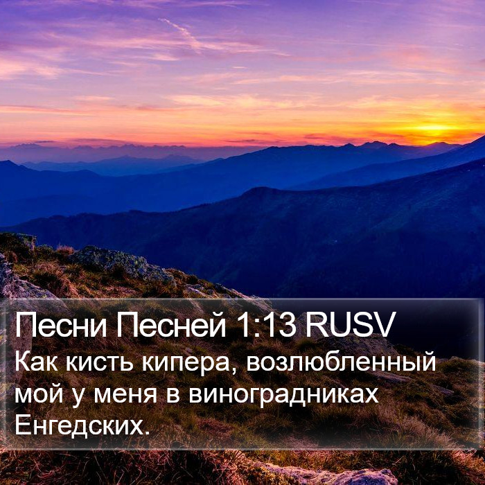 Песни Песней 1:13 RUSV Bible Study