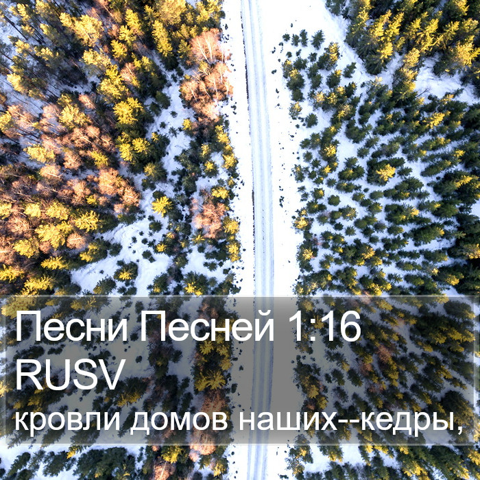 Песни Песней 1:16 RUSV Bible Study