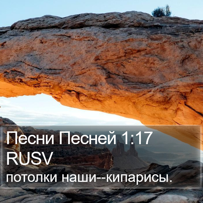 Песни Песней 1:17 RUSV Bible Study