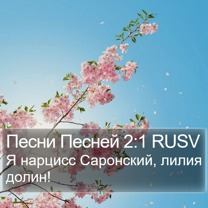 Песни Песней 2:1 RUSV Bible Study