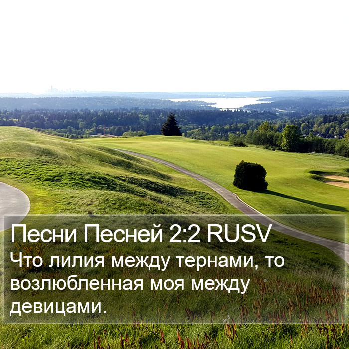 Песни Песней 2:2 RUSV Bible Study