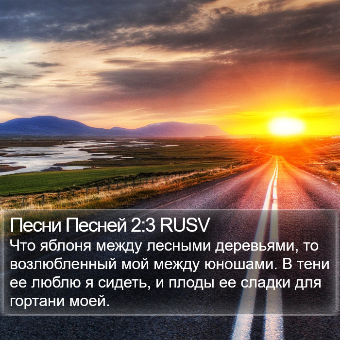 Песни Песней 2:3 RUSV Bible Study