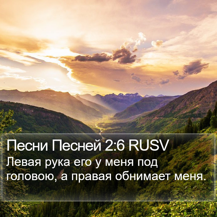 Песни Песней 2:6 RUSV Bible Study