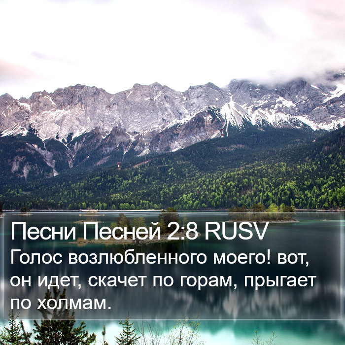 Песни Песней 2:8 RUSV Bible Study