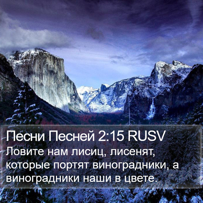 Песни Песней 2:15 RUSV Bible Study