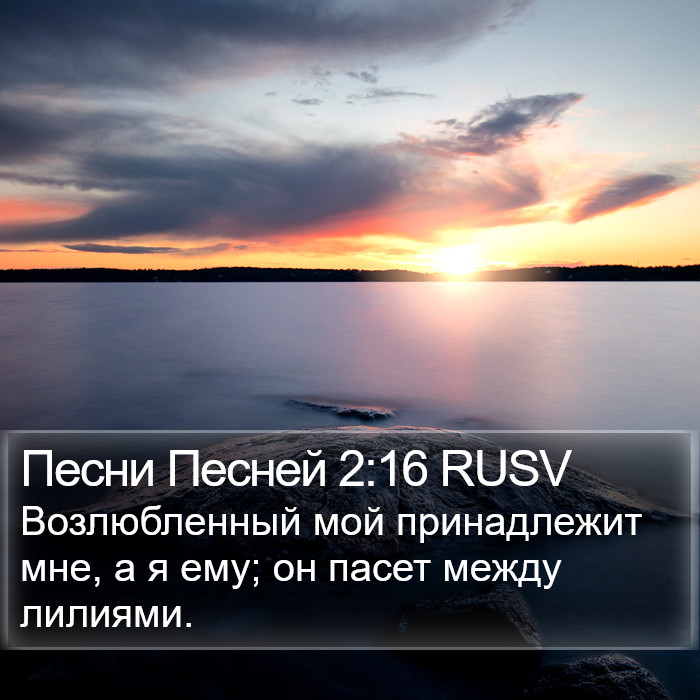 Песни Песней 2:16 RUSV Bible Study