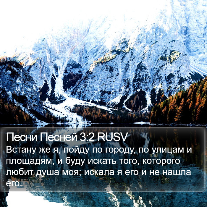 Песни Песней 3:2 RUSV Bible Study