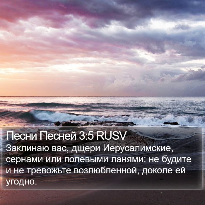 Песни Песней 3:5 RUSV Bible Study