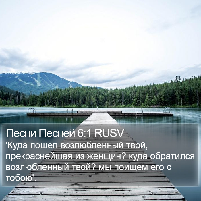 Песни Песней 6:1 RUSV Bible Study