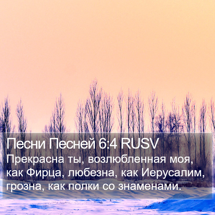 Песни Песней 6:4 RUSV Bible Study