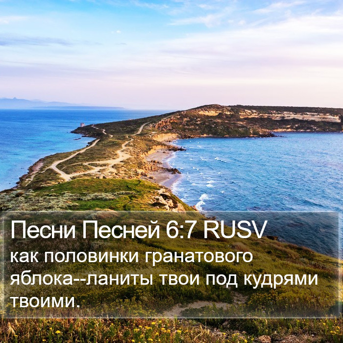 Песни Песней 6:7 RUSV Bible Study