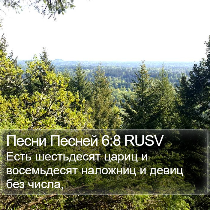 Песни Песней 6:8 RUSV Bible Study