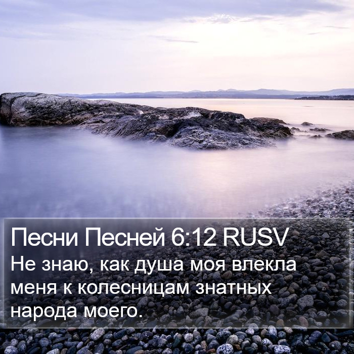 Песни Песней 6:12 RUSV Bible Study