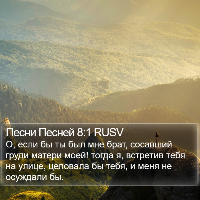 Песни Песней 8:1 RUSV Bible Study