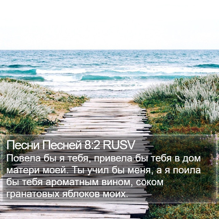 Песни Песней 8:2 RUSV Bible Study