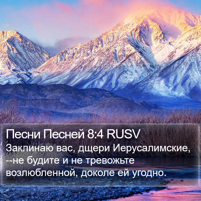 Песни Песней 8:4 RUSV Bible Study