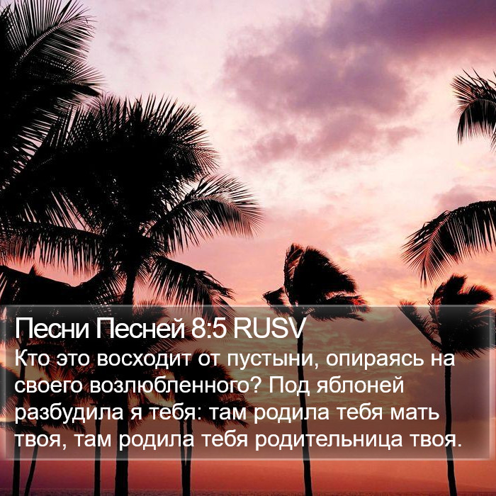 Песни Песней 8:5 RUSV Bible Study