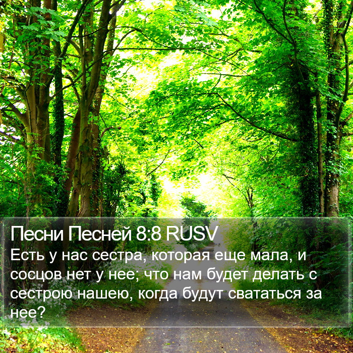 Песни Песней 8:8 RUSV Bible Study