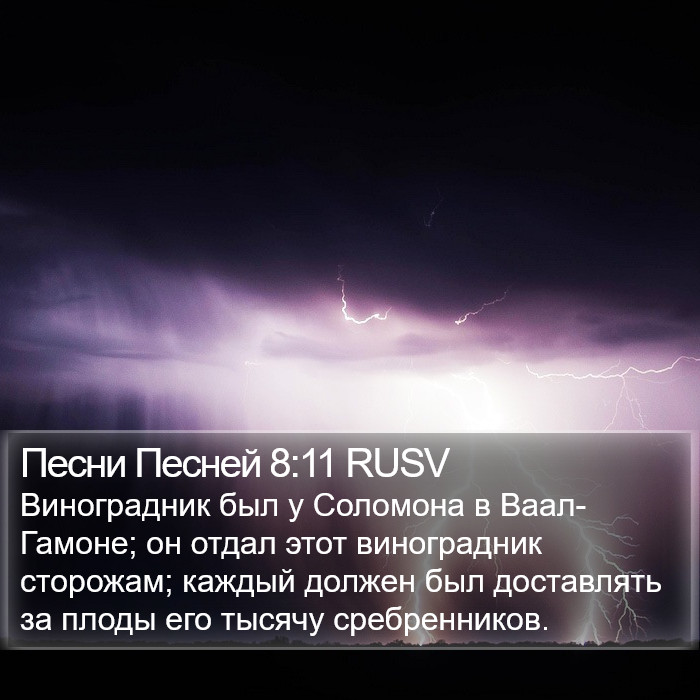 Песни Песней 8:11 RUSV Bible Study