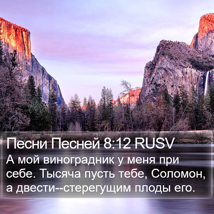 Песни Песней 8:12 RUSV Bible Study