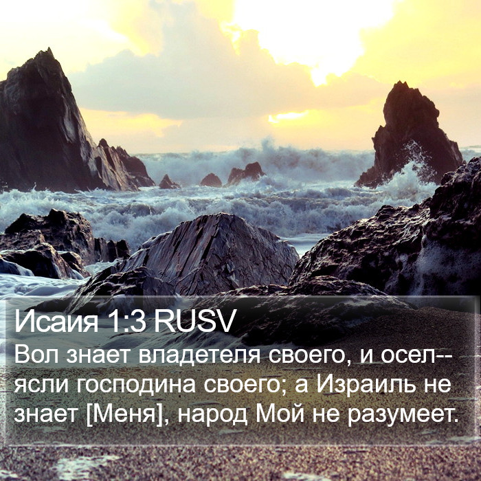 Исаия 1:3 RUSV Bible Study