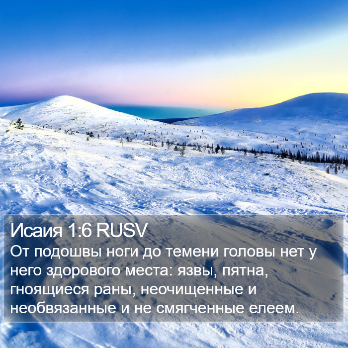 Исаия 1:6 RUSV Bible Study