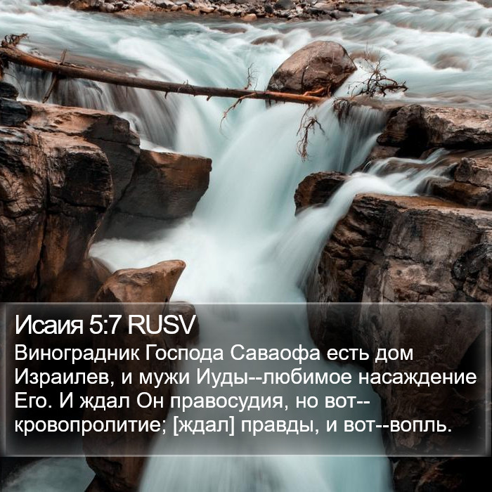 Исаия 5:7 RUSV Bible Study