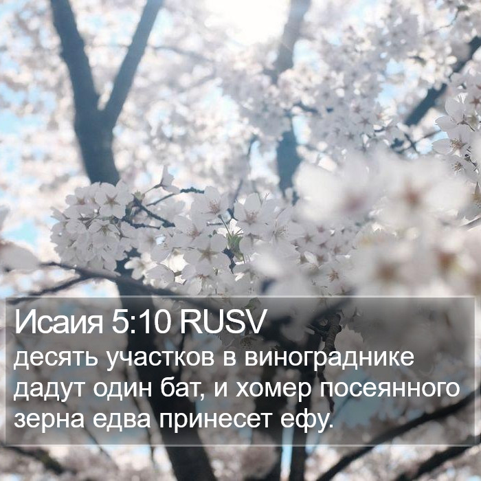 Исаия 5:10 RUSV Bible Study