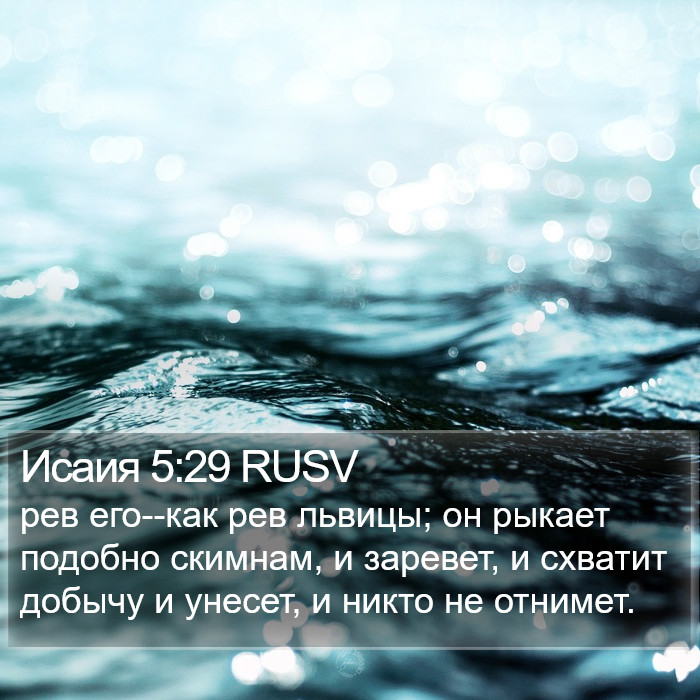 Исаия 5:29 RUSV Bible Study